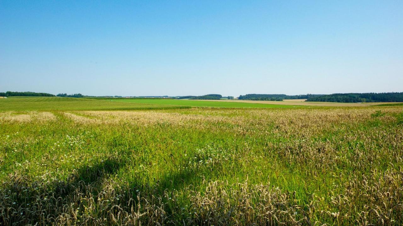 Appartamento Sepps In Billingsdorf Esterno foto